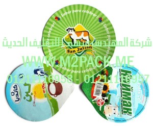الغطاء المجسم