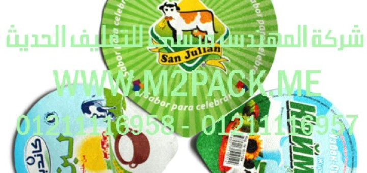 الغطاء المجسم